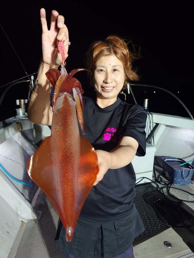 イカ(ケンサキイカ)