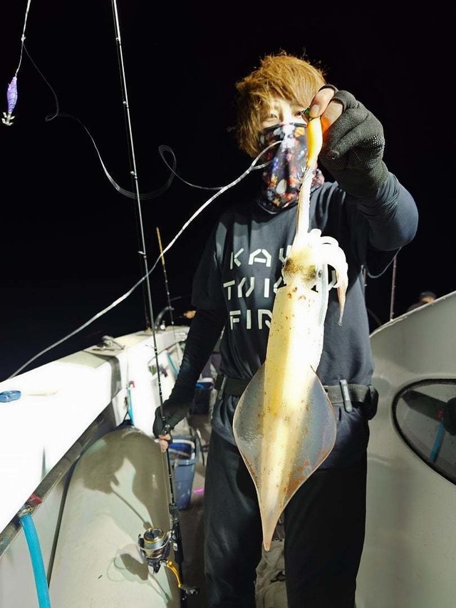 イカ(ケンサキイカ)