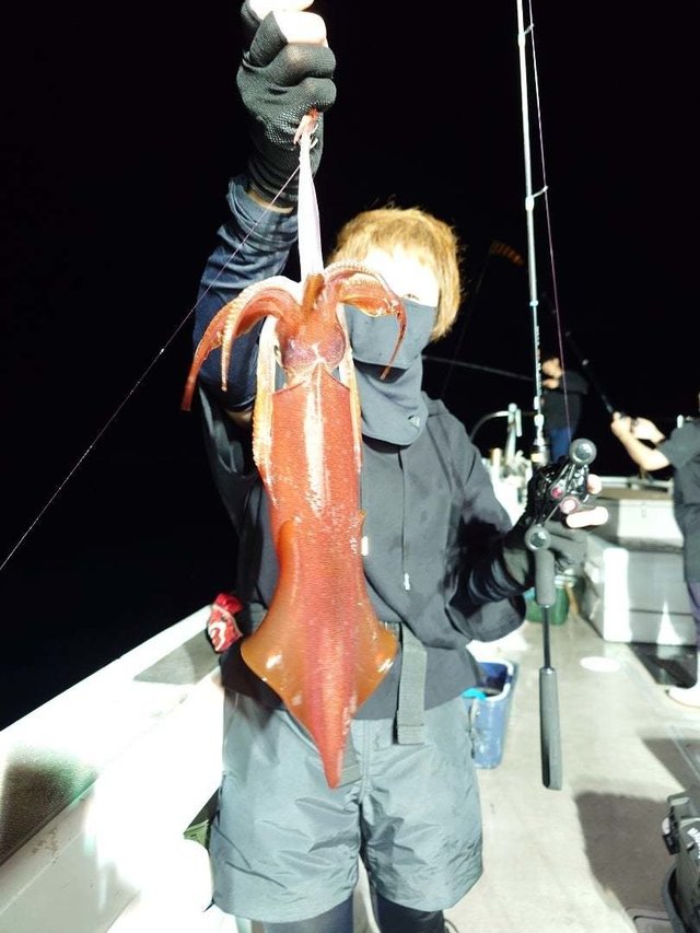 イカ(ケンサキイカ)