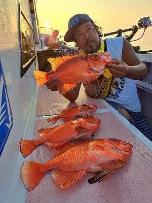 キントキ(チカメキントキ)