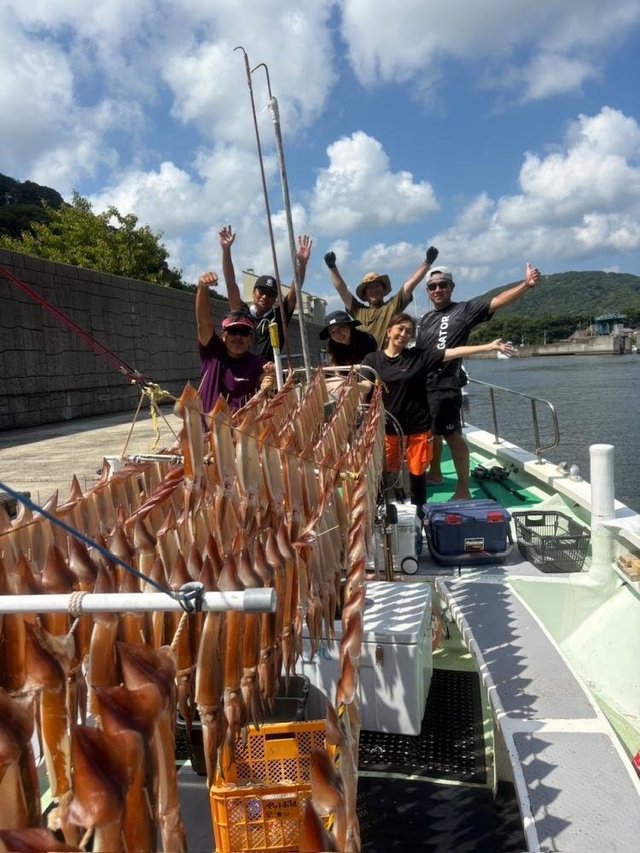 スルメ(スルメイカ)