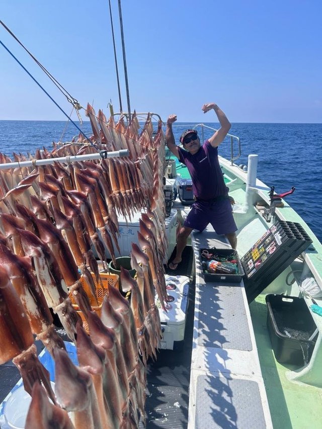 スルメ(スルメイカ)