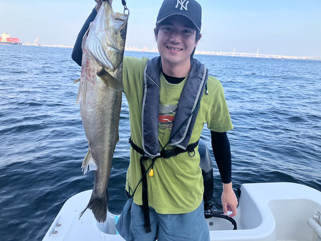 シーバス(スズキ)