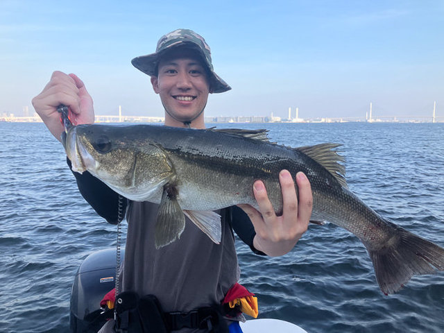 シーバス(スズキ)