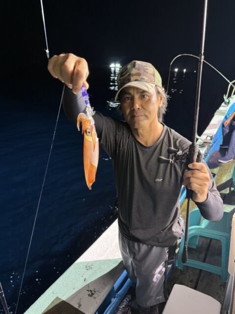 マイカ(ケンサキイカ)