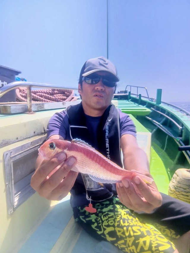 アマダイ(アカアマダイ)