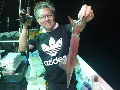 マイカ(ケンサキイカ)