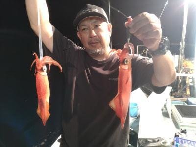 マイカ(ケンサキイカ)