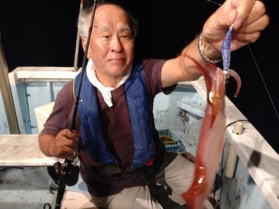 マイカ(ケンサキイカ)