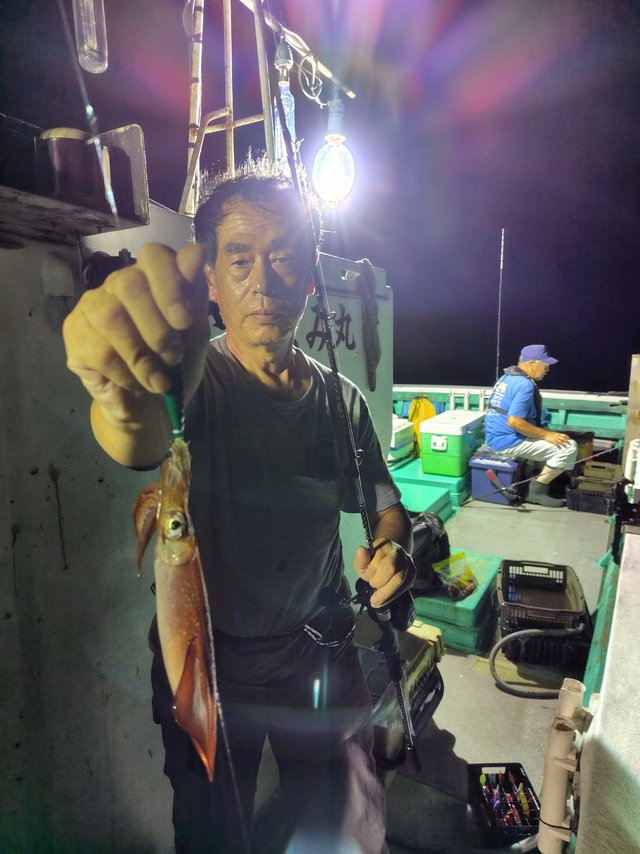 シロイカ(ケンサキイカ)