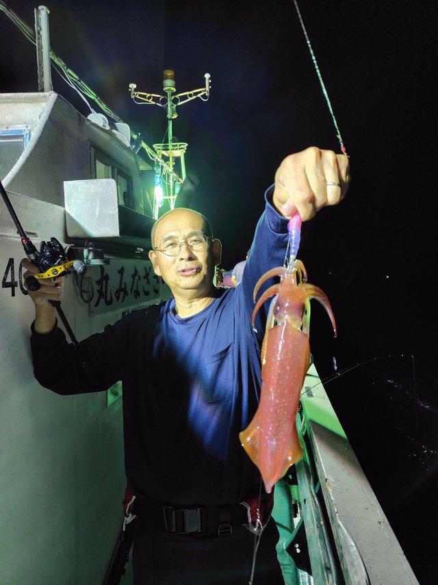 シロイカ(ケンサキイカ)