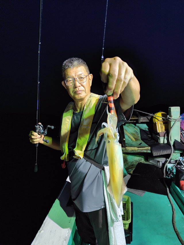 シロイカ(ケンサキイカ)