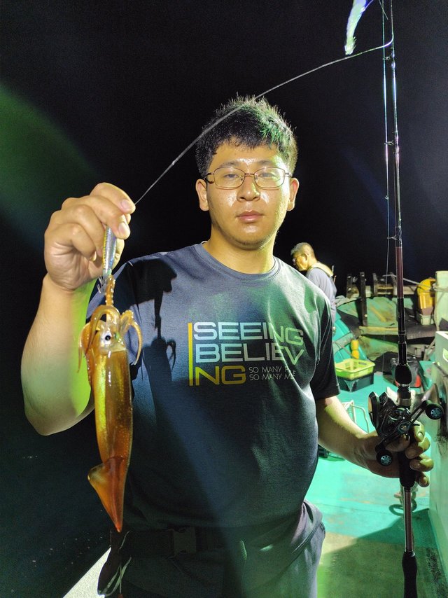 スルメ(スルメイカ)