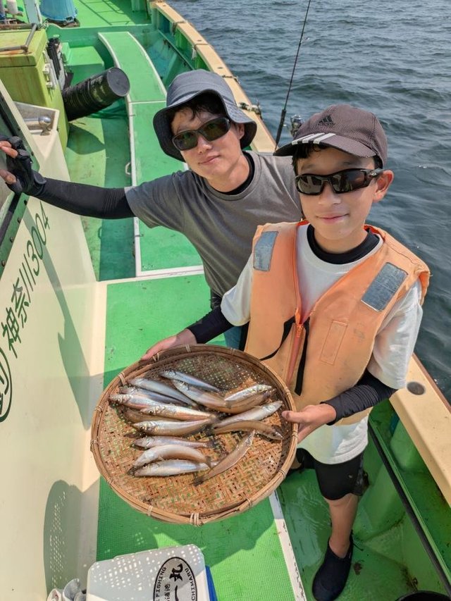 シロキス(シロギス)