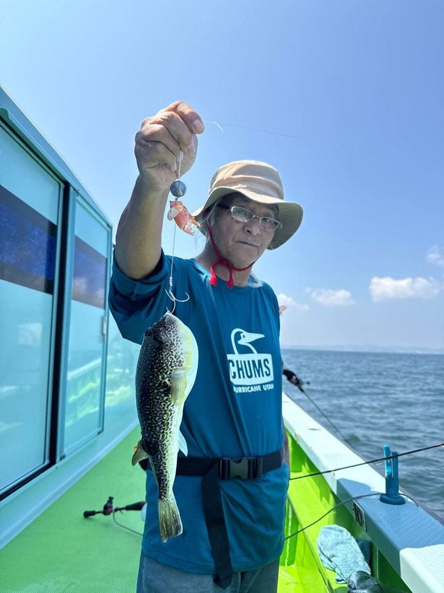 フグ(ショウサイフグ)