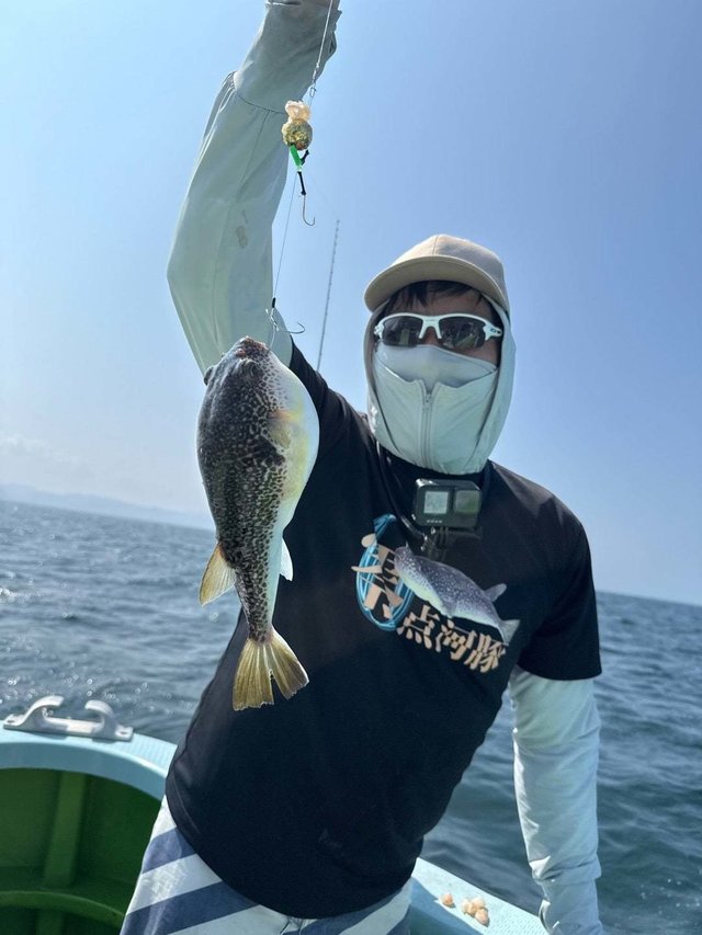 フグ(ショウサイフグ)