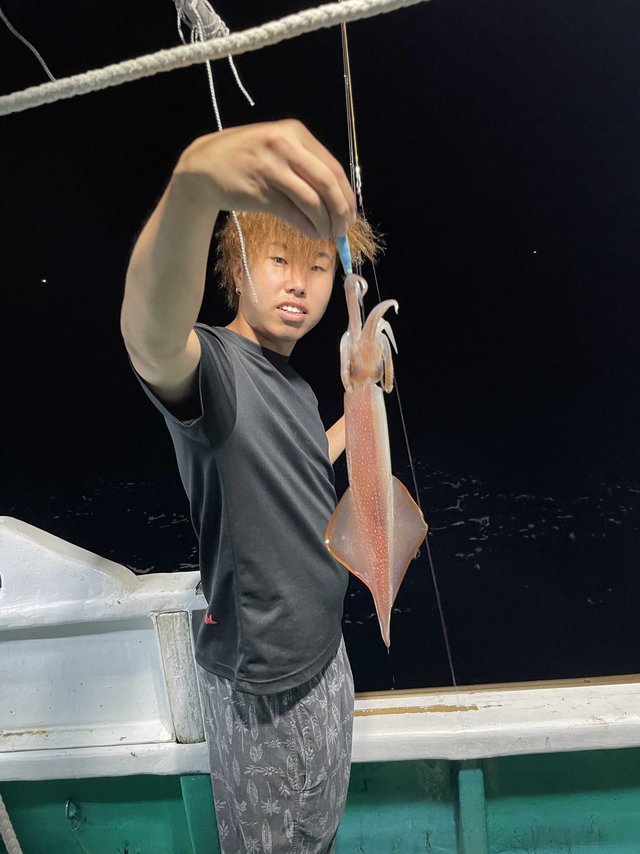 アカイカ(ケンサキイカ)