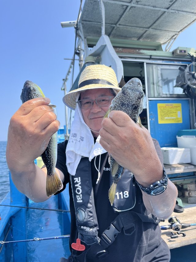 ショウサイフグ