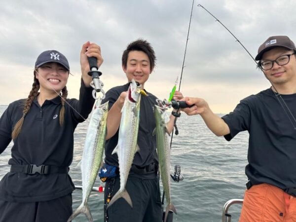 サゴシ(サワラ)