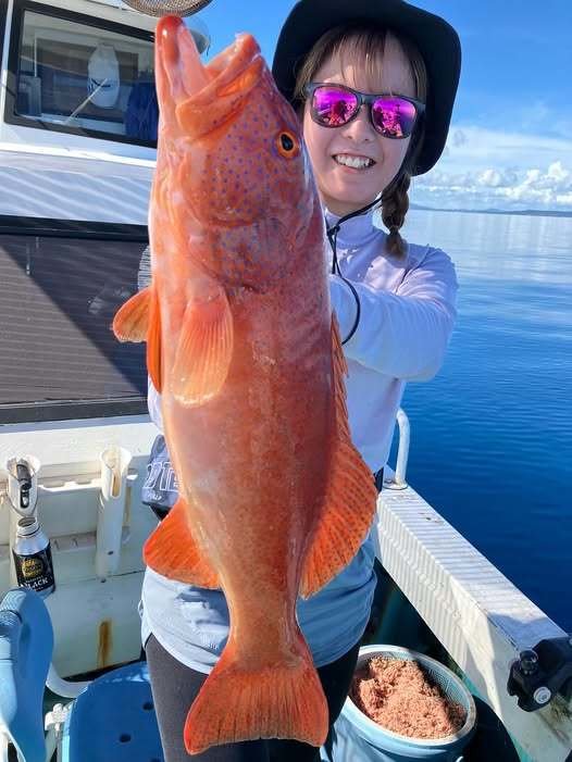 アカジン(スジアラ)