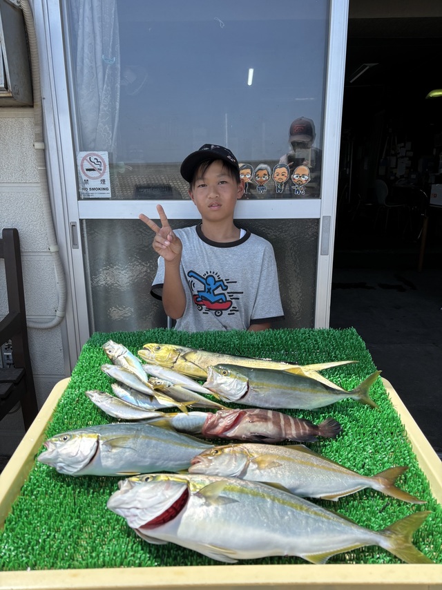 アジ(マアジ)・ワカシ(ブリ)