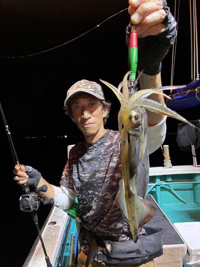 アカイカ(ケンサキイカ)