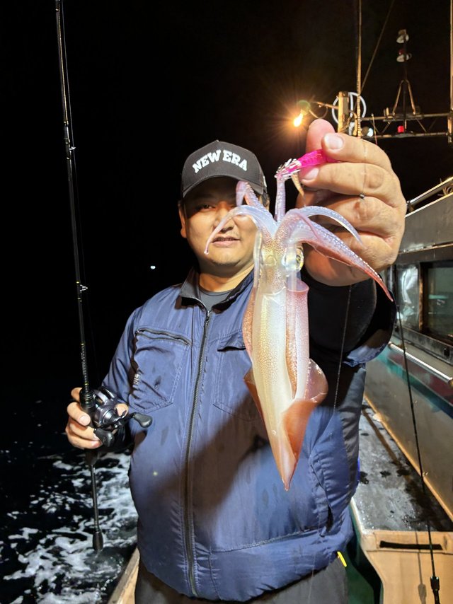 アカイカ(ケンサキイカ)