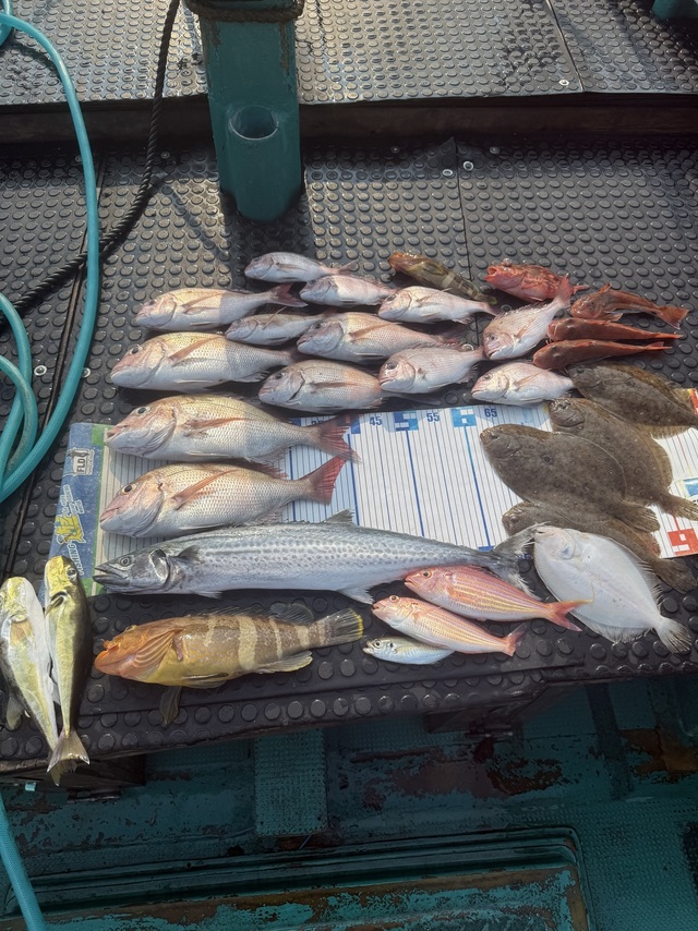 タイ(マダイ)・サワラ