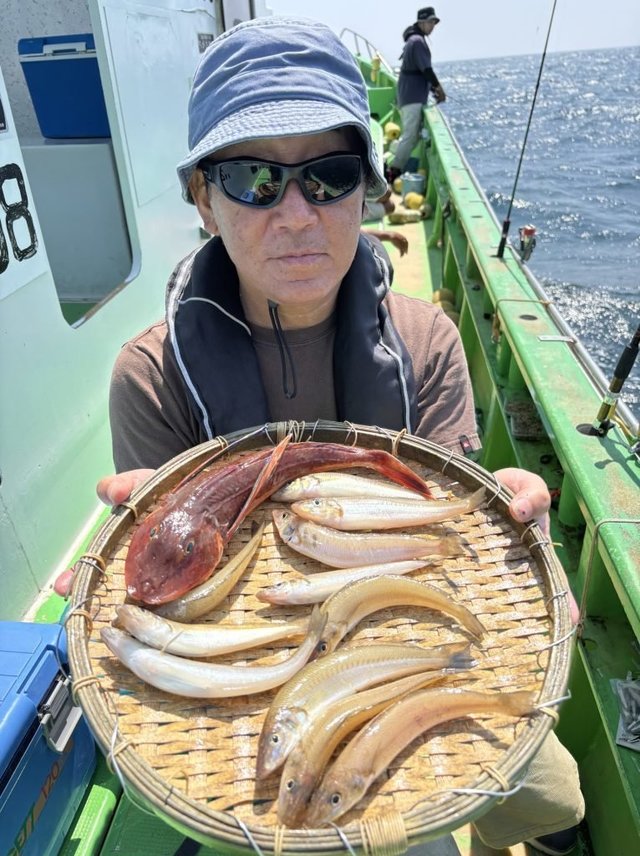 キス(シロギス)・ホウボウ