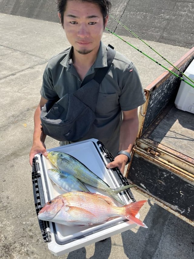 マダイ・クロダイ・イナダ(ブリ)