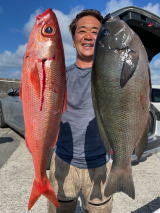 メジナ・ハチビキ