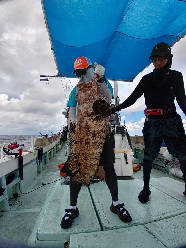 ミーバイ(クエ)