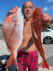 マダイ・ホウボウ