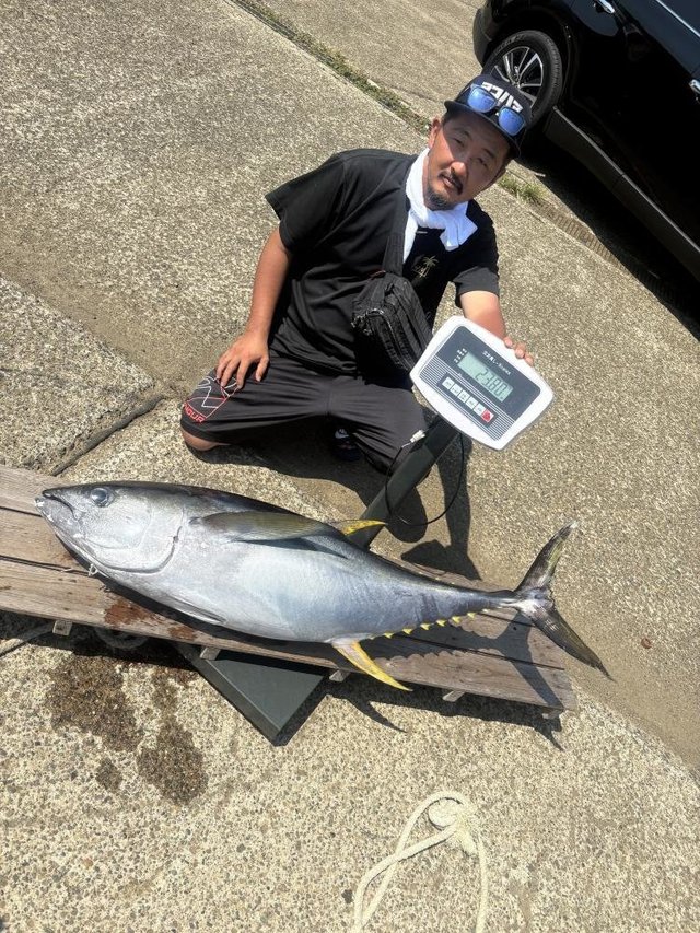 マグロ(キハダ)