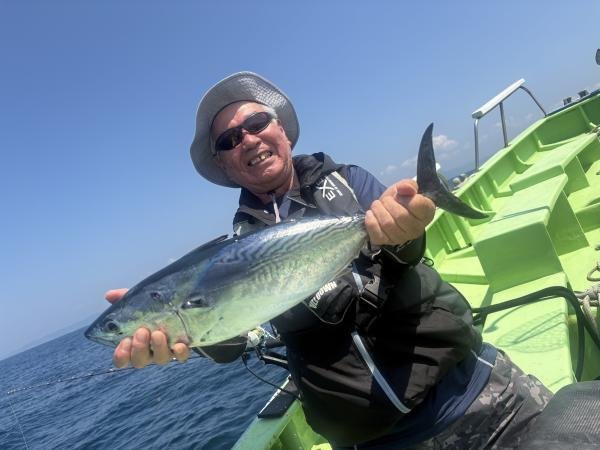 スマガツオ(スマ)