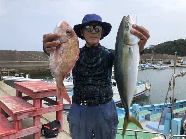 マダイ・ハマチ(ブリ)