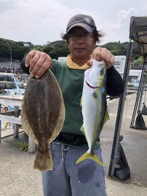 ハマチ(ブリ)・ヒラメ