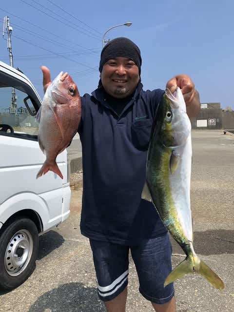 マダイ・ハマチ(ブリ)