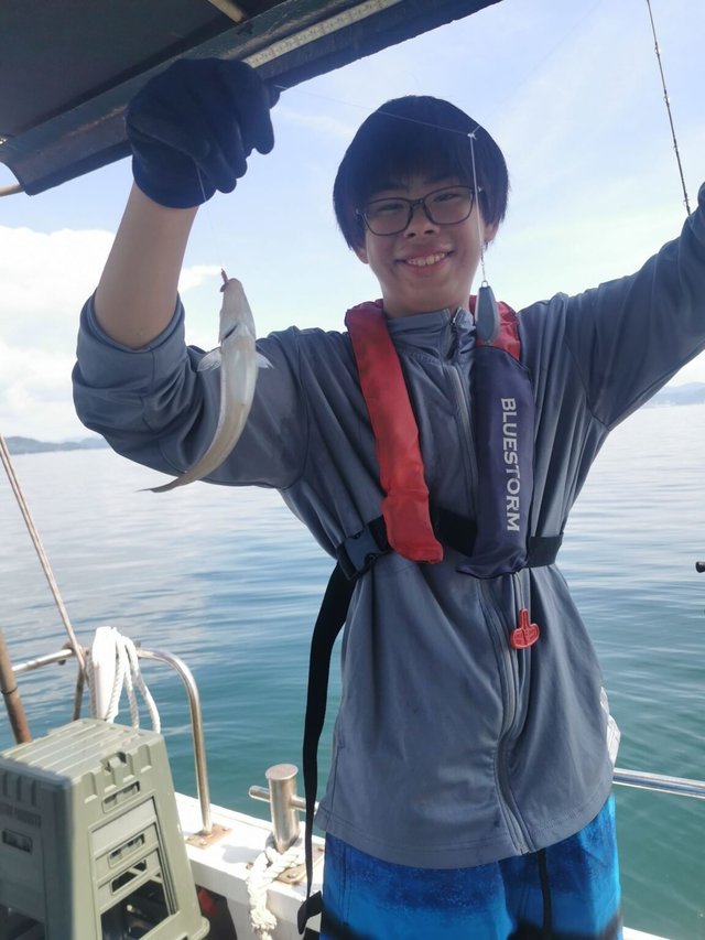 キス(シロギス)