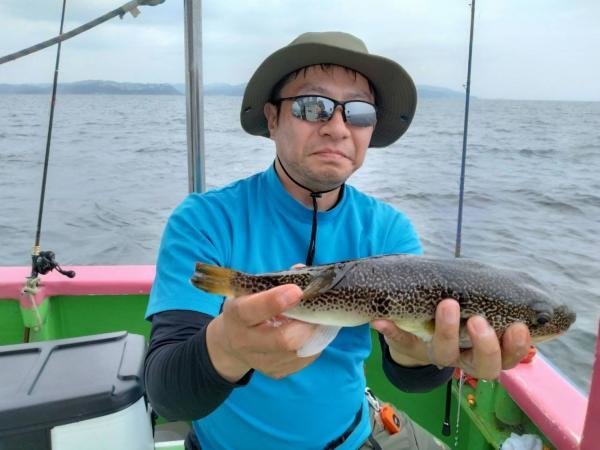 ショウサイフグ