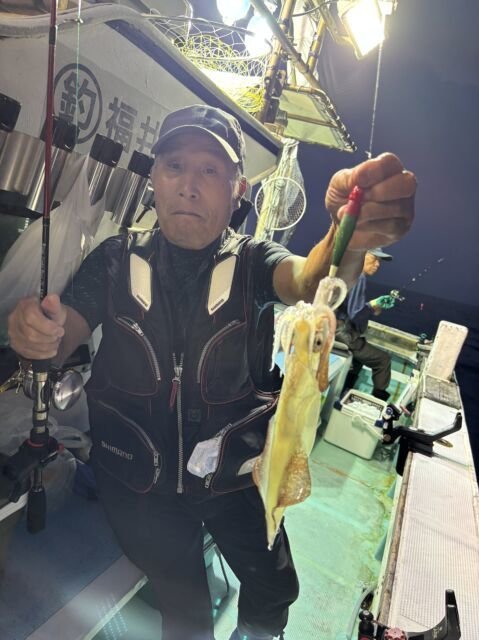 マイカ(ケンサキイカ)