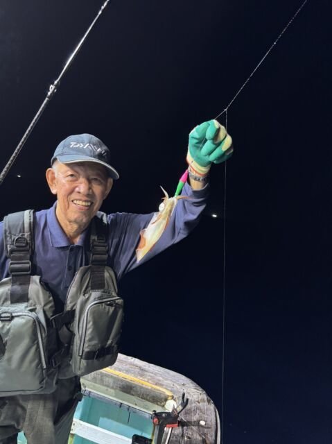 マイカ(ケンサキイカ)