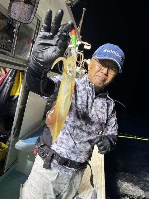 マイカ(ケンサキイカ)