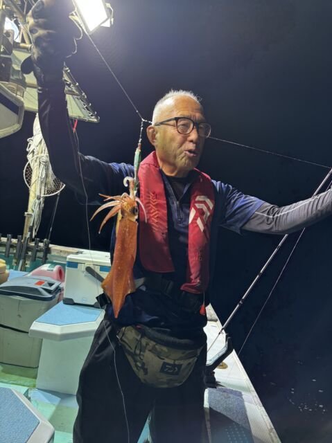 マイカ(ケンサキイカ)