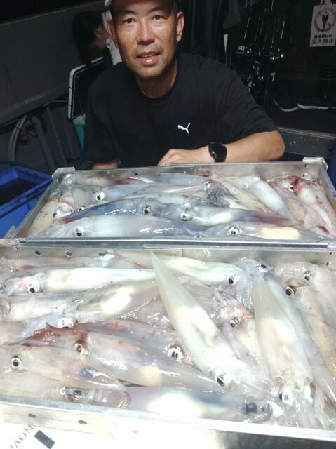 イカ(ヤリイカ)