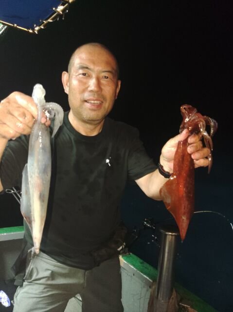 イカ(ヤリイカ)