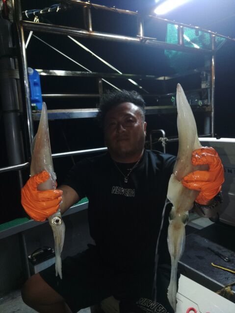 イカ(ヤリイカ)