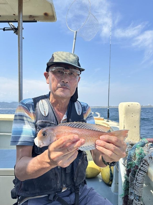 アマダイ(アカアマダイ)