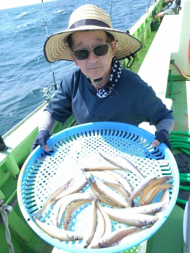 シロキス(シロギス)