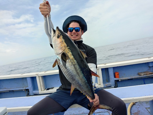 キハダマグロ(キハダ)